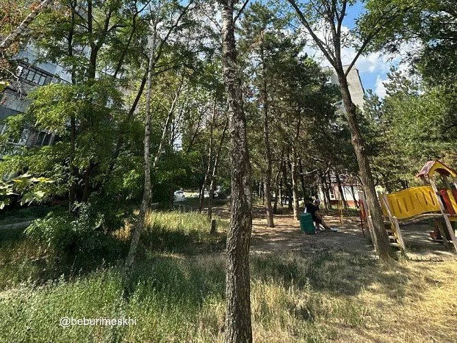Фото: ТГ канала Бебури Месхи