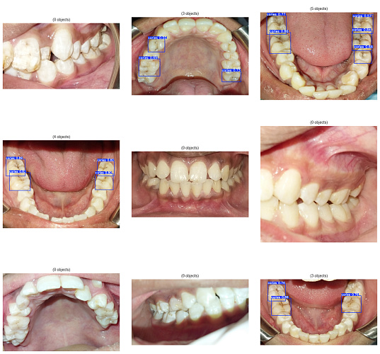 Фото: пресс-центр ЮФУ