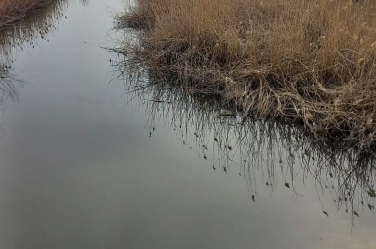 Фото: Минприроды Ростовской области