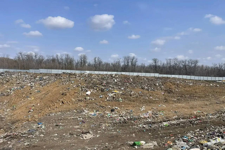 Фото: ТГ канала Антонины Пшеничной