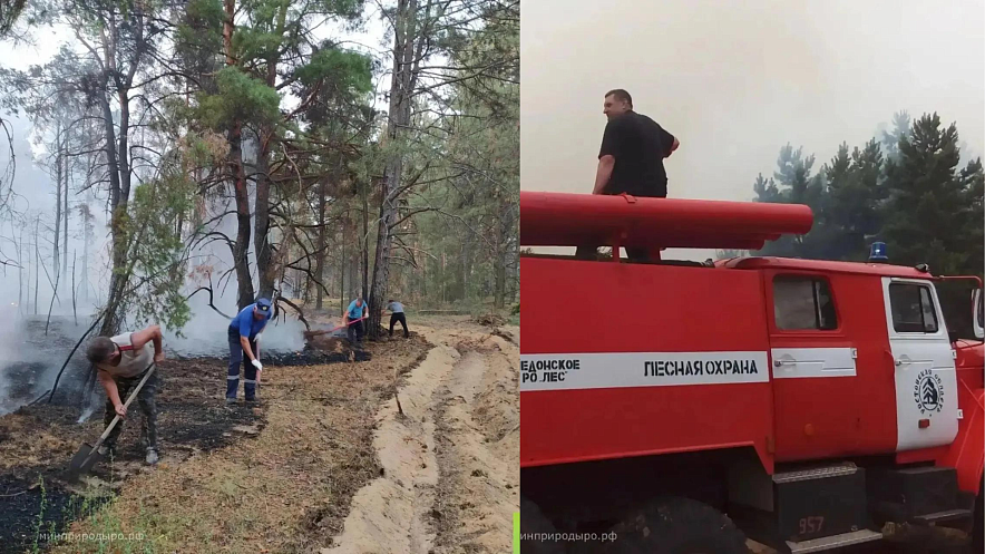 Фото: МЧС Ростовской области