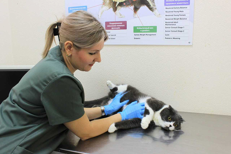 Фото: Управление ветеринарии Ростовской области