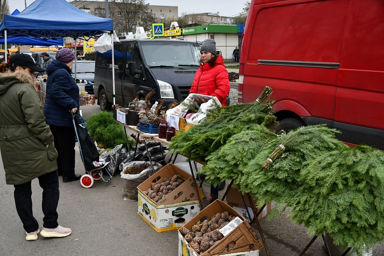 Фото: Правительство Ростовской области 