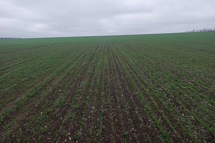 Фото: Правительство Ростовской области