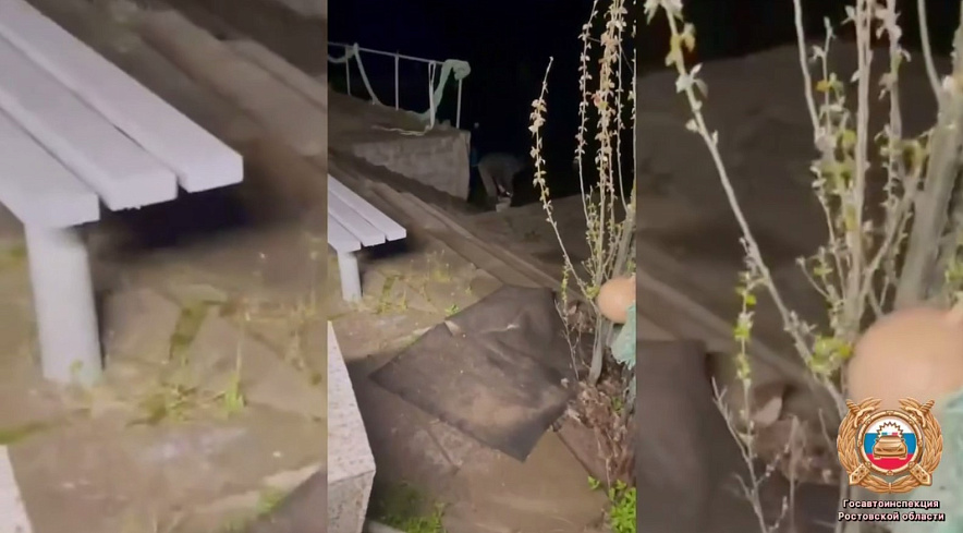 Фото: Госавтоинспекции Ростовской области 