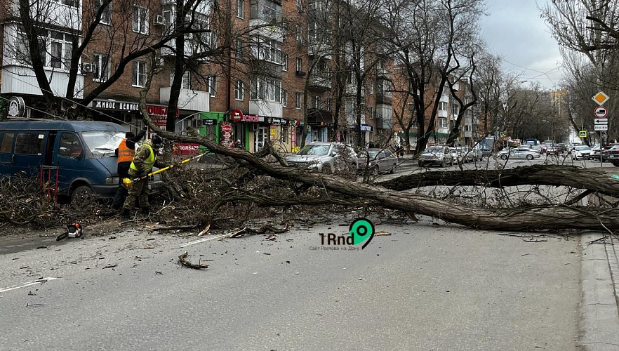 Фото: Упавшее дерево перекрыло проезд по Мечникова в Ростове, кадр 1rnd