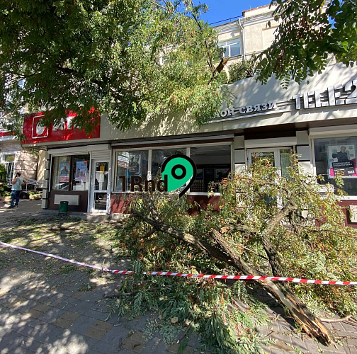Фото: В центре Ростова дерево рухнуло на магазин сотовой связи // фото 1rnd Фото: В центре Ростова дерево рухнуло на магазин сотовой связи // фото 1rnd