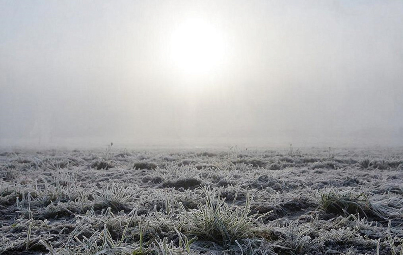 Фото: создано нейросетью