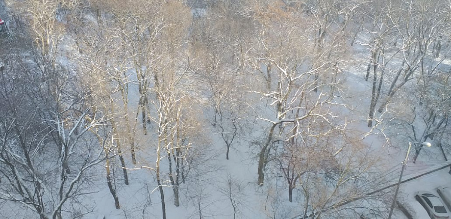 Фото: Мокрый снег ожидается в Ростове \\ кадр 1rnd.ru