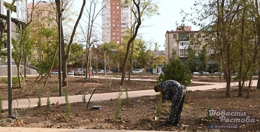 Фото: ТГ канала «Новости Ростова - Rostovnews61»