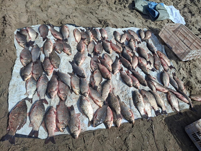 Фото: МВД по Ростовской области 