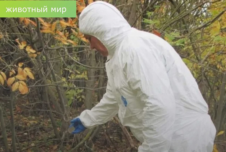 Фото: Минприроды Ростовской области