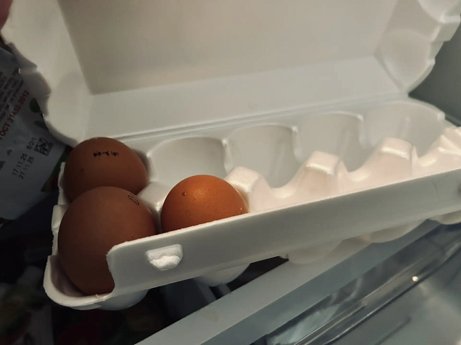 Фото: из архива редакции