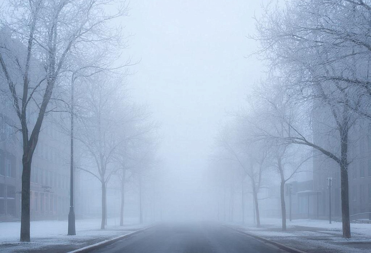 Фото: Нейросеть