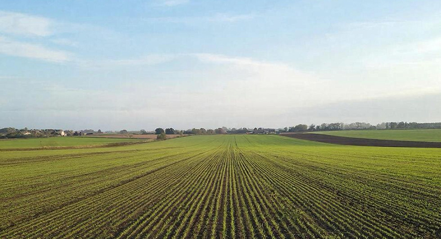 Фото: Нейросеть