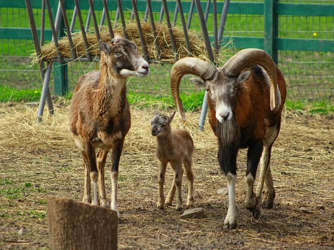 Фото: Марина Фомичёва