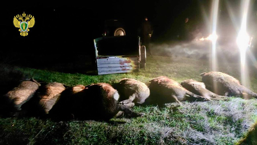 Фото: Прокуратура РО