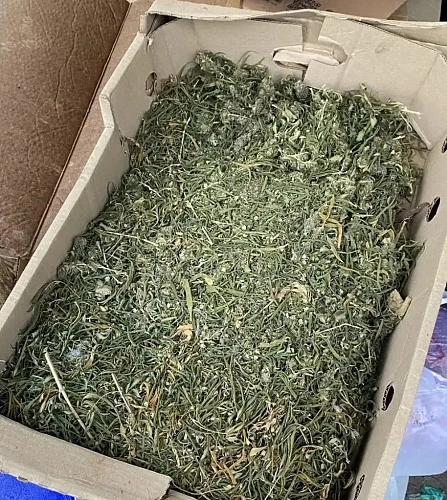 Фото: ГУ МВД РФ по РО