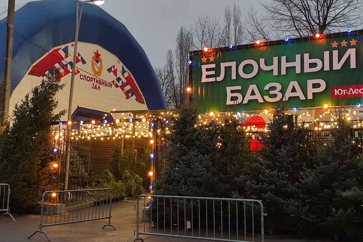 Фото: Управление информполитики Правительства РО