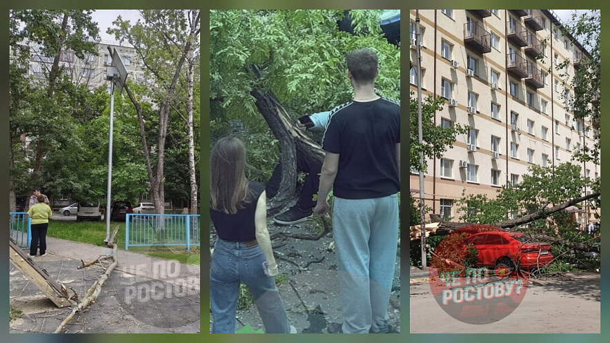 Фото: ТГ-канал "Че по Ростову?"