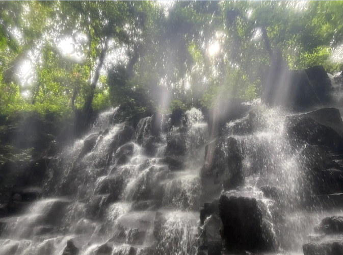 Фото: пресс-центр ЮФУ