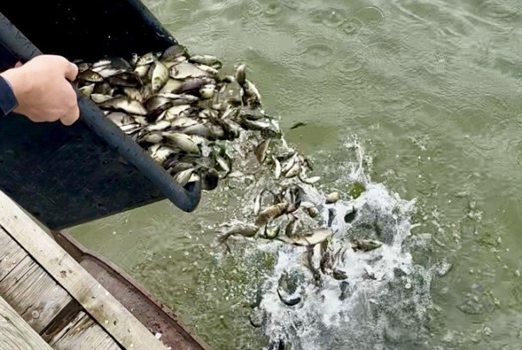 Фото: Фото из архива ТГ канала ВНИРО