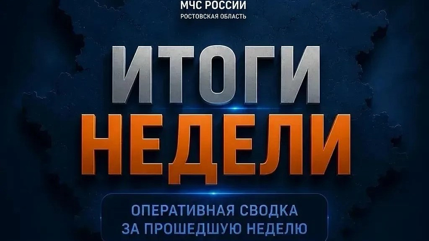 Фото: МЧС Ростовской области