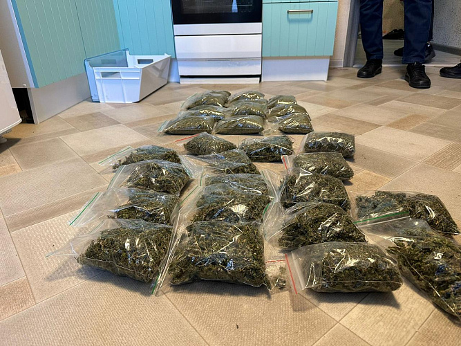 Фото: В Ростове взяли под стражу четырех наркодилеров, у которых обнаружили 2,3 кг марихуаны и мефедрона, фото - Пресс-служба УТ по СКФО