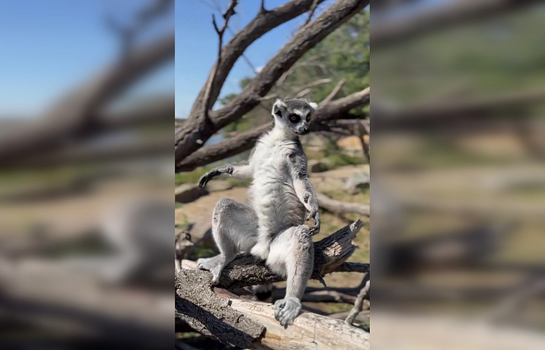 Фото: Ростов №1