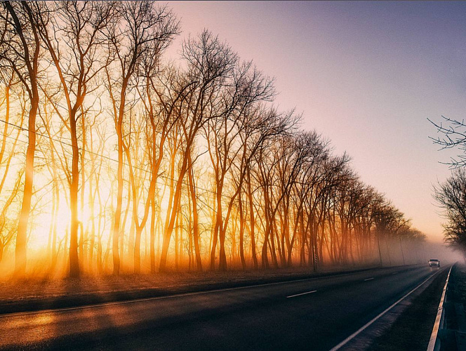 Фото: Денис Демков