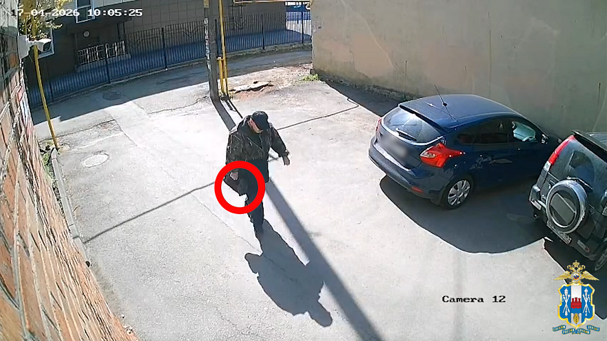 Фото: ГУ МВД РФ по РО