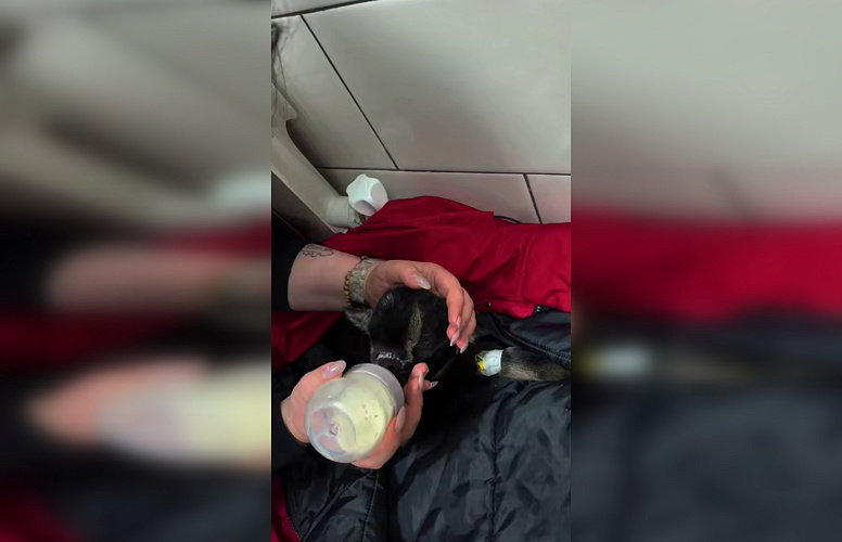 Фото: парк «Малинки»