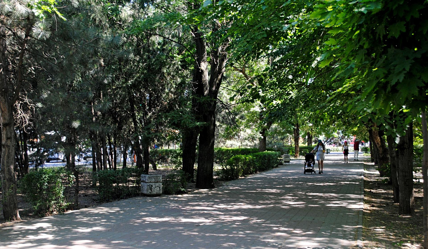 Фото: На аллее парка в Ростове, кадр 1rnd