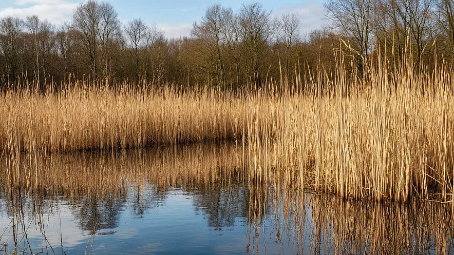 Фото: Нейросеть
