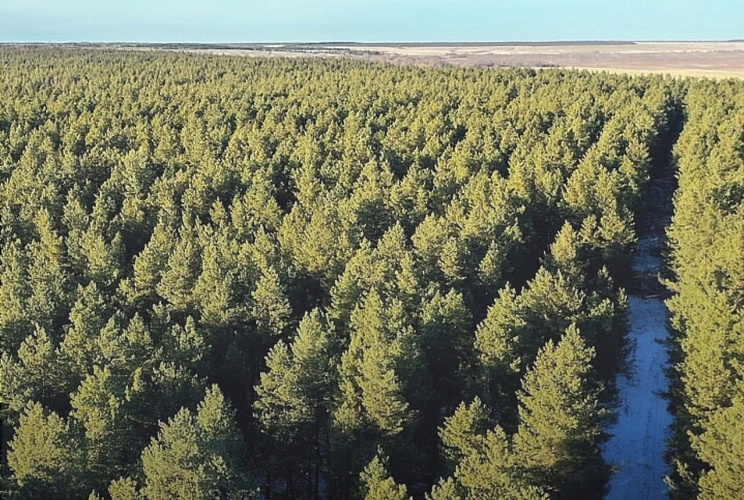 Фото: из архива Минприроды Ростовской области