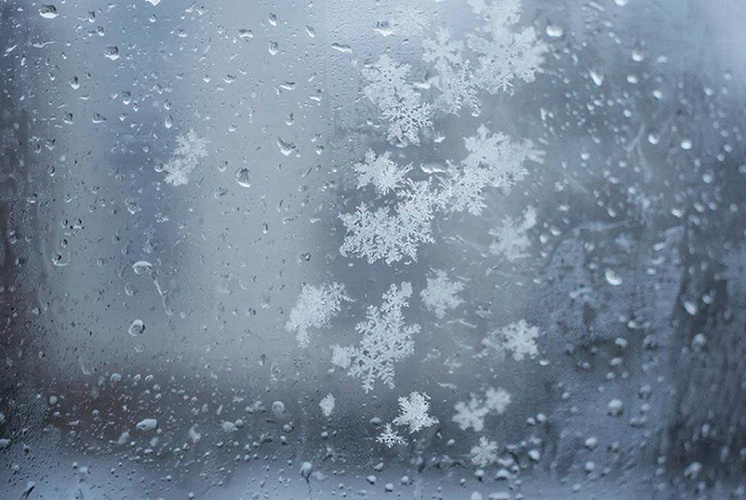 Фото: Нейросеть