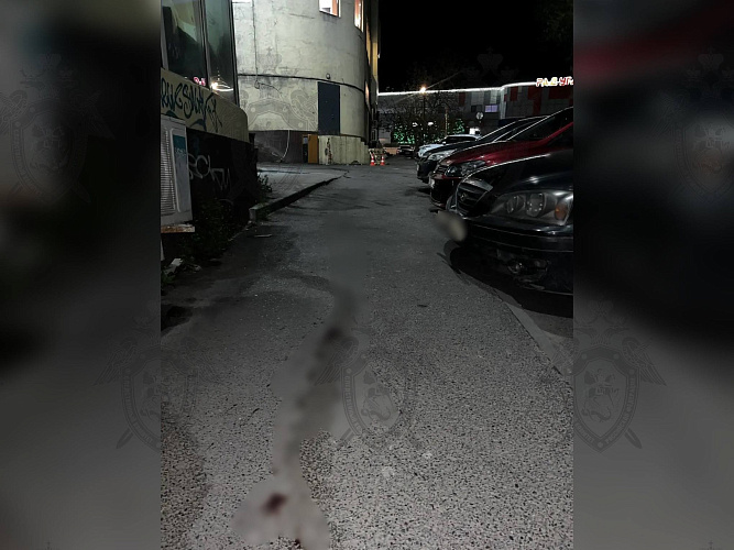 Фото: СУ СК по Ростовской области