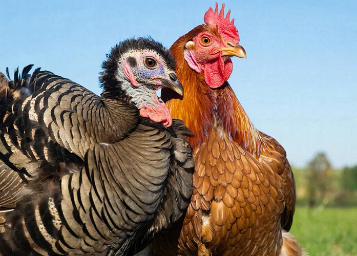 Фото: Нейросеть