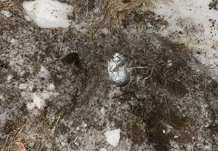 Фото: ГУ МВД России по РО