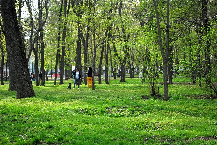 Фото: В Ростовской области пройдут грозовые ливни в конце недели  // фото архив 1rnd
