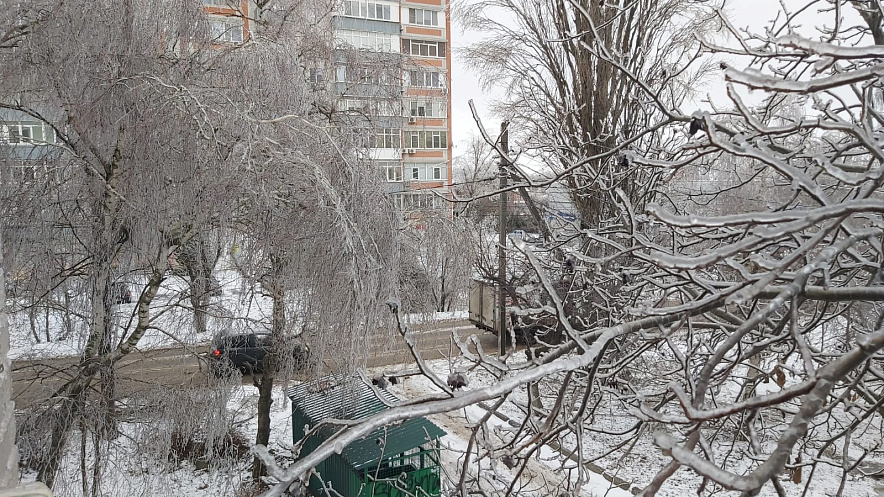 Фото: ледяной дождь в Ростове \\ кадр 1rnd.ru