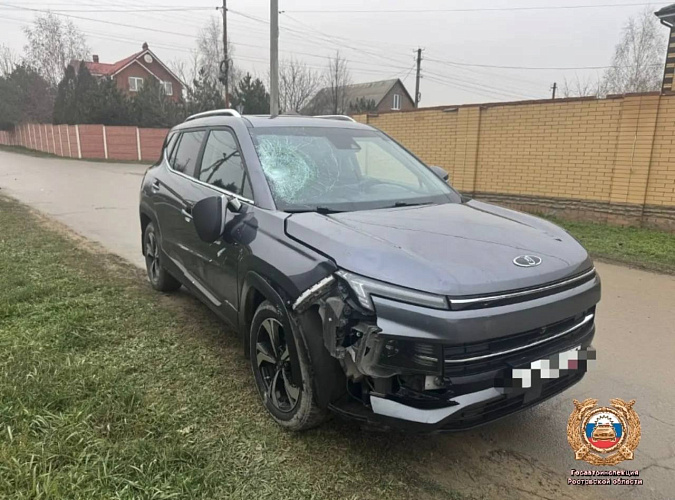 Фото: Госавтоинспекции Ростовской области 