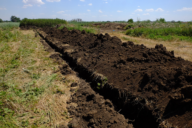 Фото:  Управление Россельхознадзора по РВАОиРК