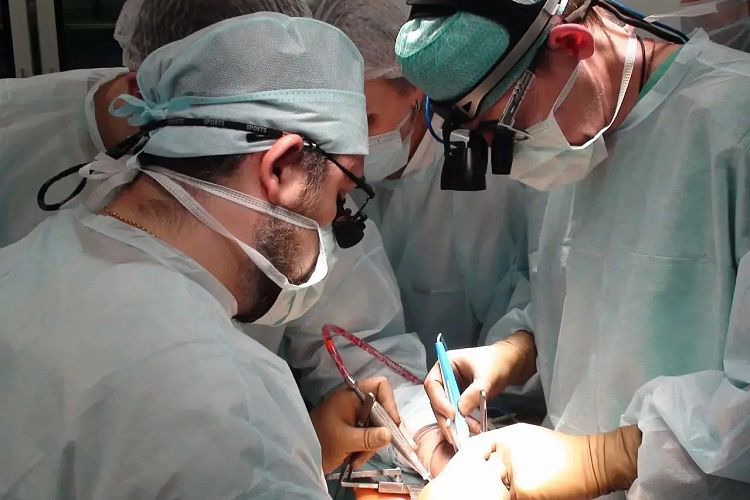 Фото: Правительство РО