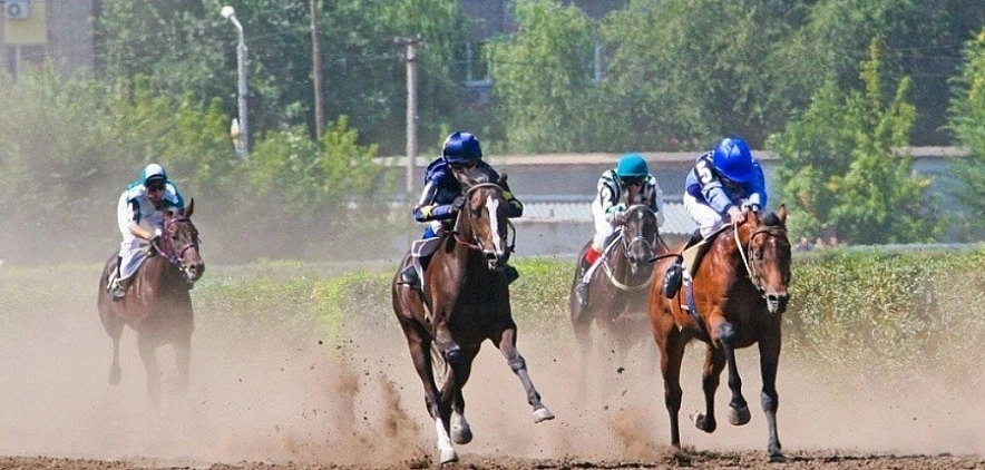 Фото: из архива 1rnd 