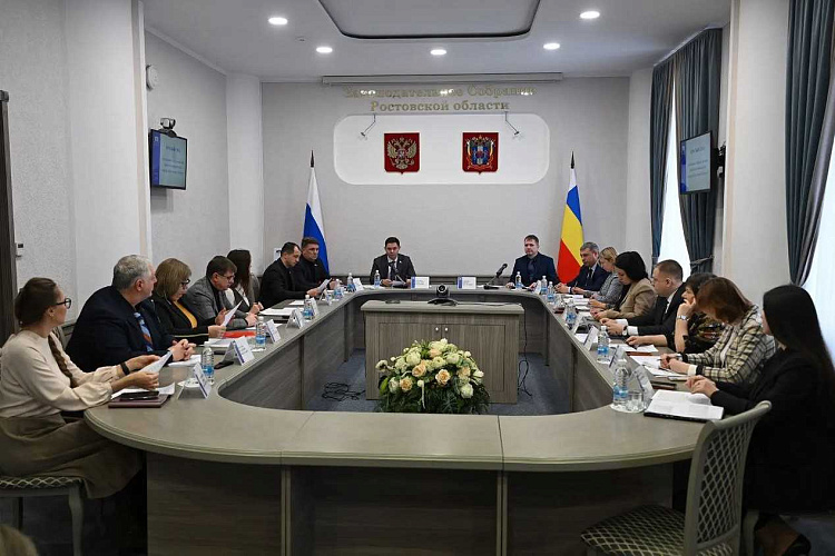 Фото: Правительство Ростовской области 