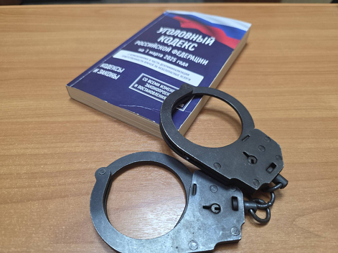 Фото: ГУ МВД РФ по РО