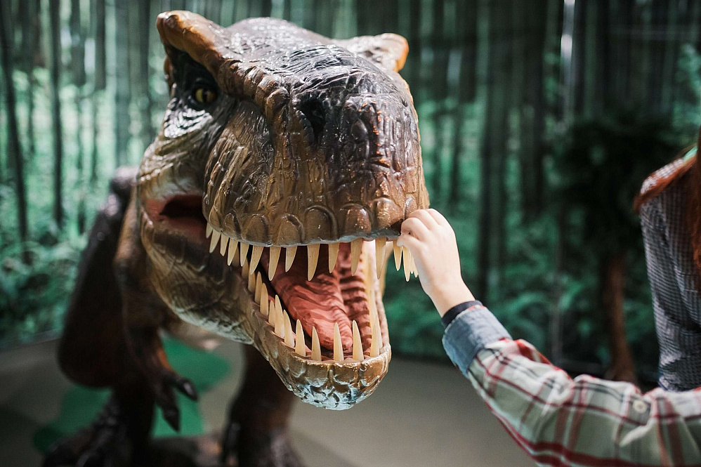 Нашествие динозавров. Выставка динозавров в Волгограде 2022. Динозавры 2022. Интерактивная выставка динозавров.