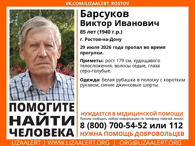 Фото: lizaalert_rostov / vk.ru
