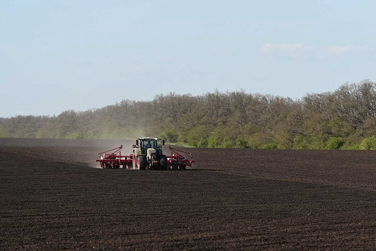 Фото: Правительство Ростовской области 